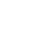 Icon Datos
